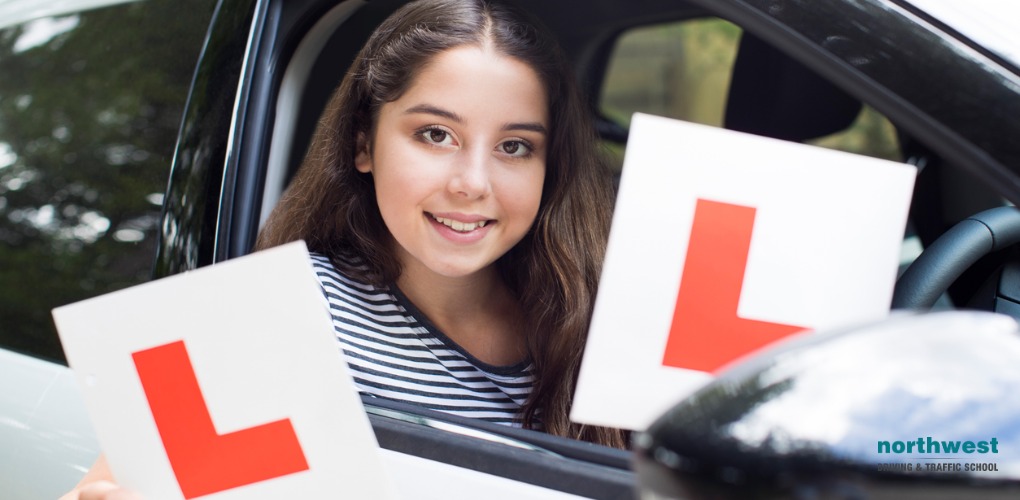 Five Top Tips For Your First Driving Lesson NWDS