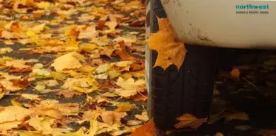 What Are The Most Dangerous Aspects Of Fall Driving