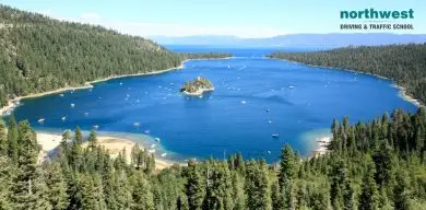 Lake surrounded by forest