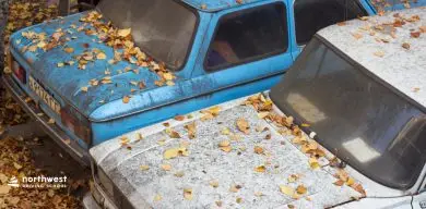 A Guide To Avoiding The Most Dangerous Aspects Of Fall Driving