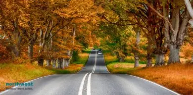 A Guide to Avoiding the Most Dangerous Aspects of Fall Driving
