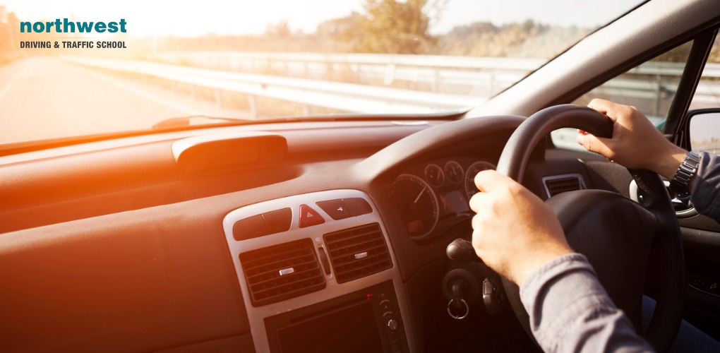 Driving instruction: The most important lessons | NWDS