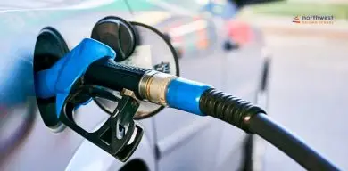 Car Buying Tips: Petrol, Diesel, Hybrid, Or Electric?