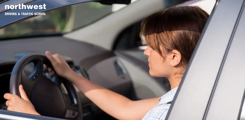 A Guide to Getting the Most Out of Your Driving Lessons in Nevada