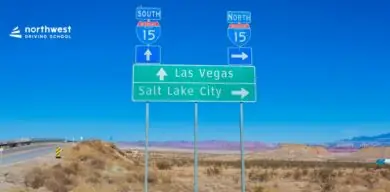 Navigating the Nevada Road Laws – A Guide for Learner Drivers