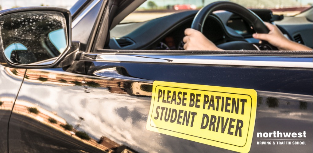 Your Guide To Finding The Best Driving School In Nevada Northwest