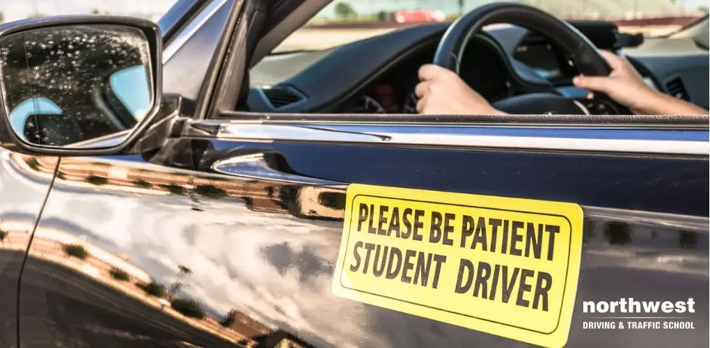 Your Guide to Finding The Best Driving School in Nevada